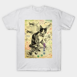 Cat Studying Gravity T-Shirt